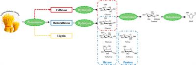 The development of novel ionic liquid-based solid catalysts and the conversion of 5-hydroxymethylfurfural from lignocellulosic biomass